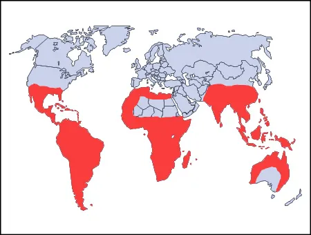 21994 tarantula habitat factors