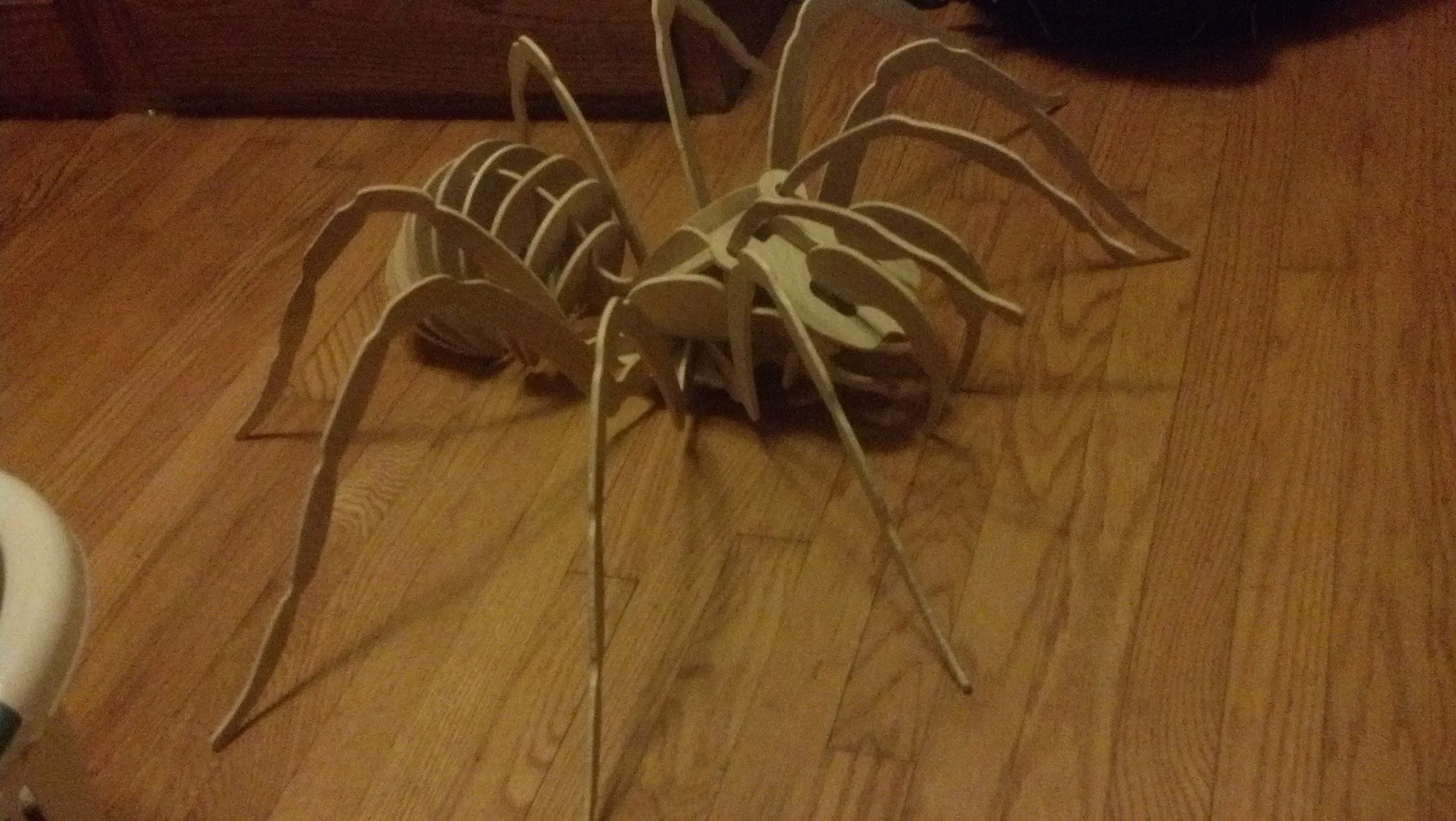 22003 testia tarantula habitat