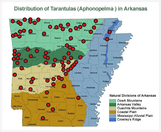 22004 tarantula map
