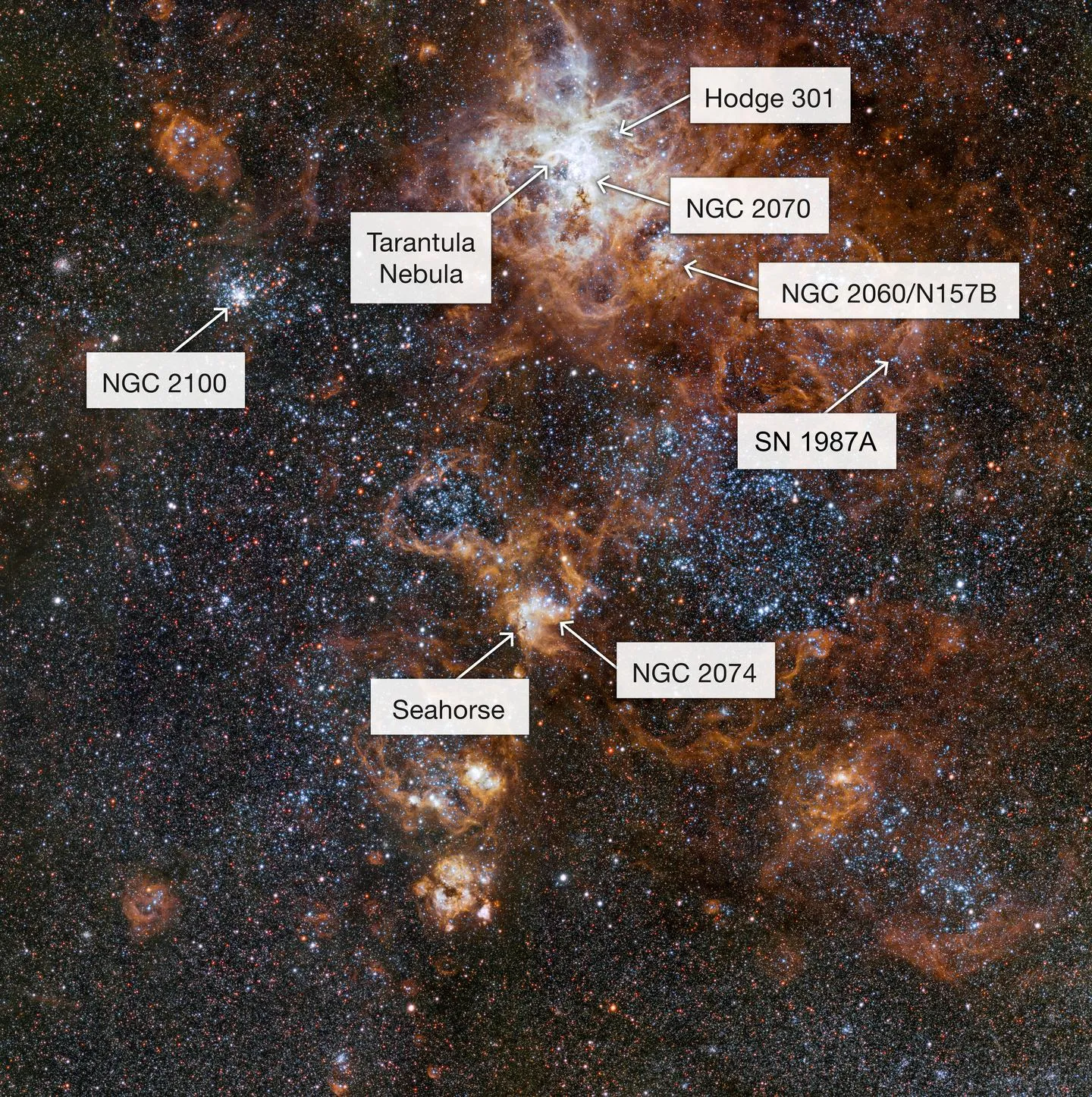 22012 tarantula nebula hubble