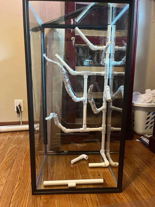 22036 tarantula misting