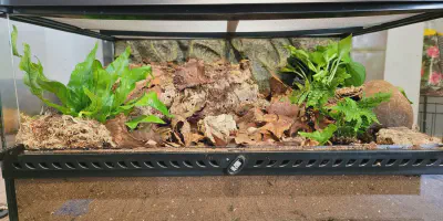 /img/22040-tarantula-diy-enclosure.webp