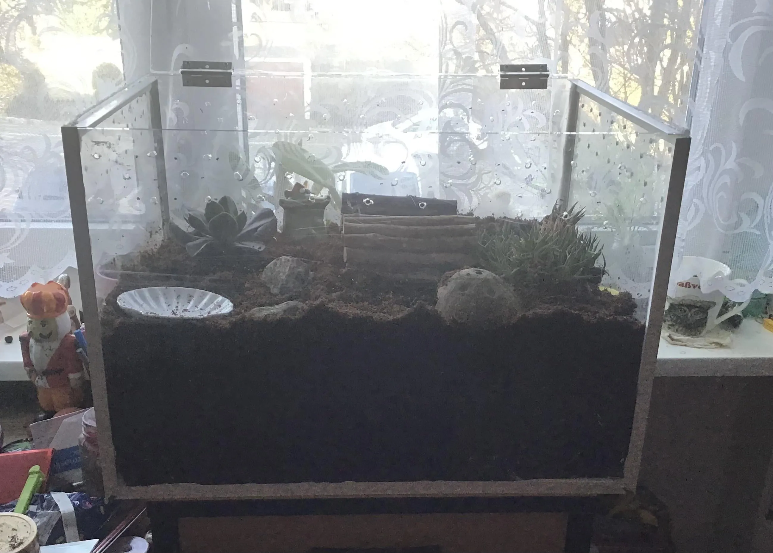 22040 tarantula hide