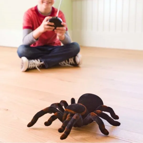 /img/22044-remote-control-tarantula-store.webp