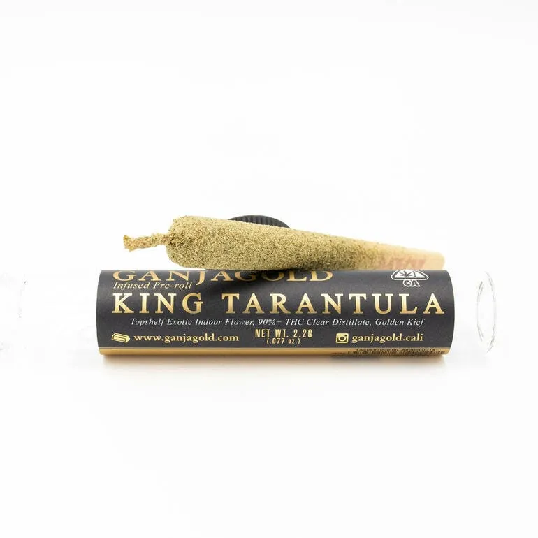 22045 king tarantula pre roll europe 1