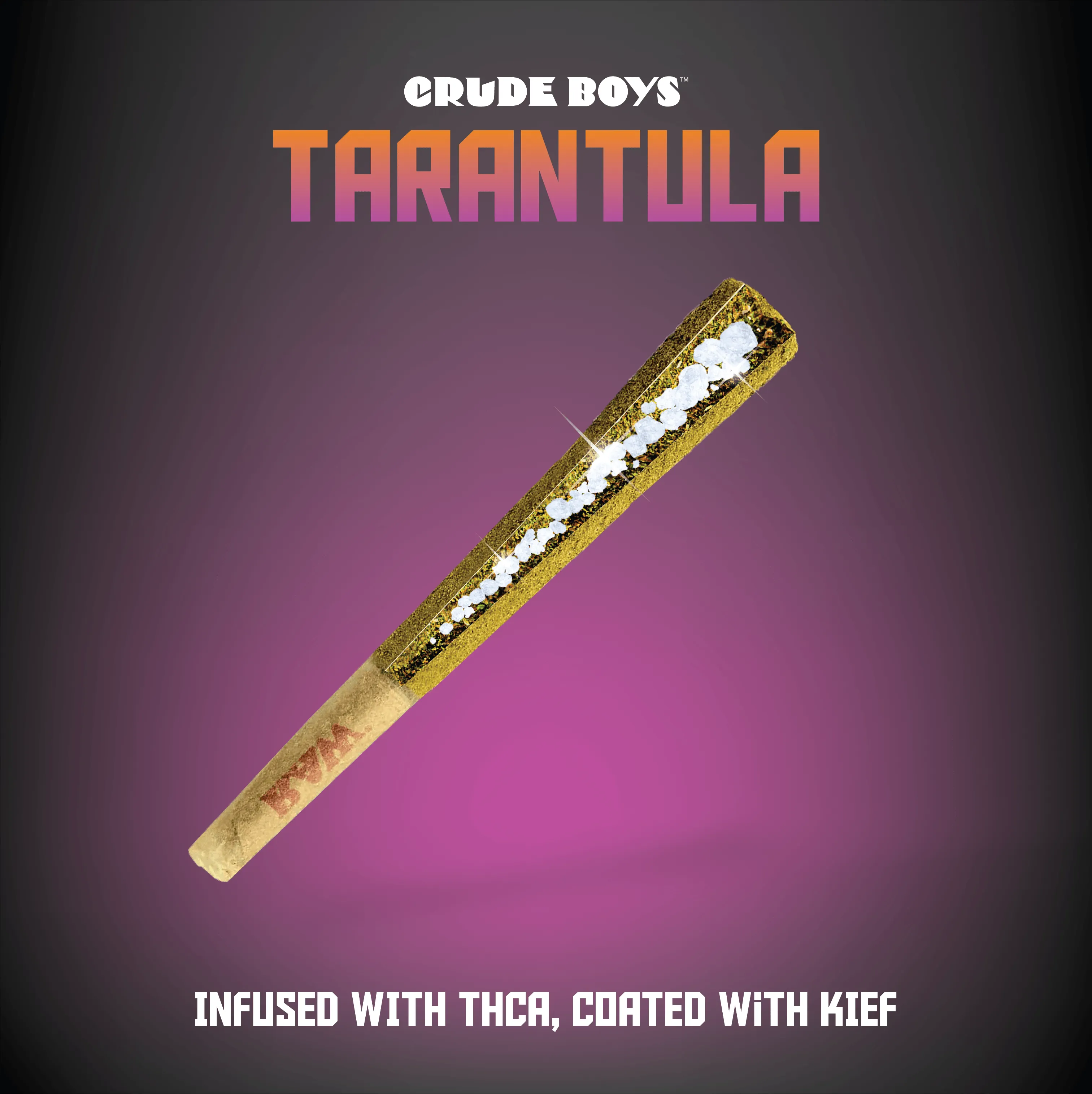 /img/22045-king-tarantula-pre-roll-europe-7.webp