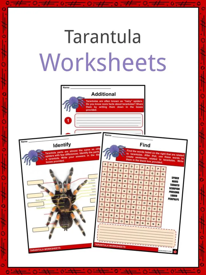 22048 tarantula habitat