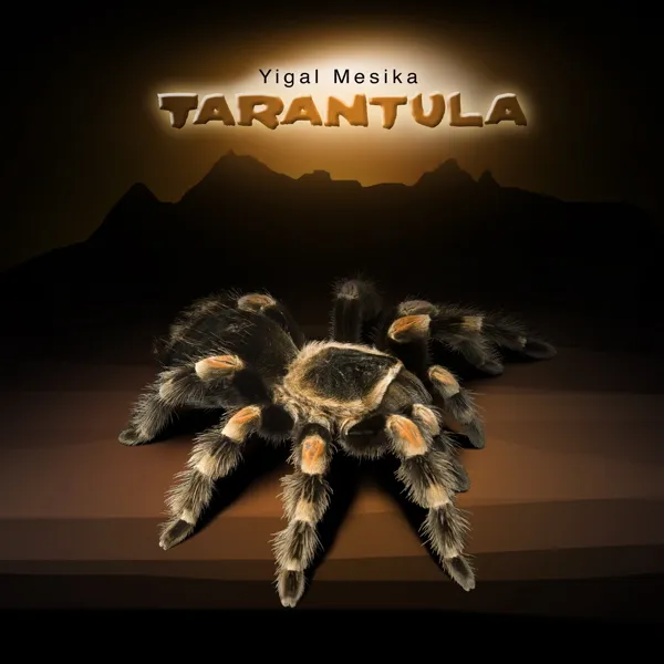 22086 yigal mesika tarantula setup