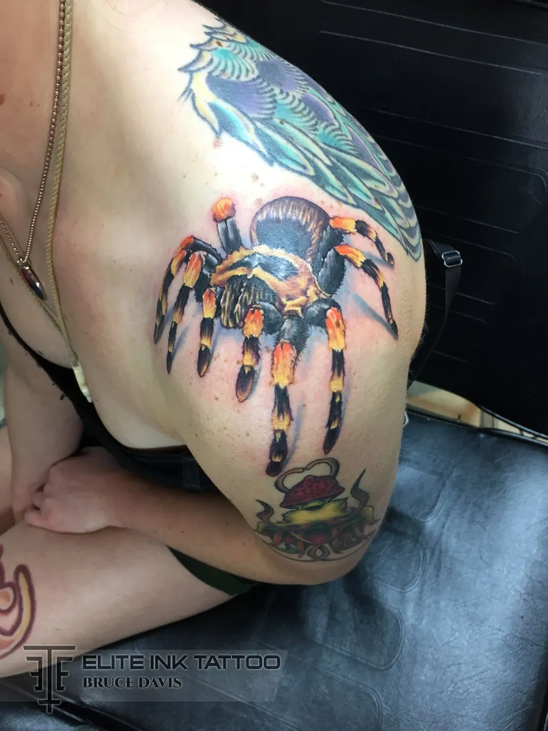22103 tarantula tattoo design 1