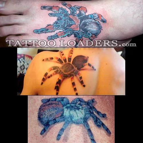 22103 tarantula tattoo design 2