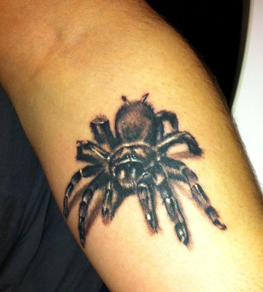 22103 tarantula tattoo geometric