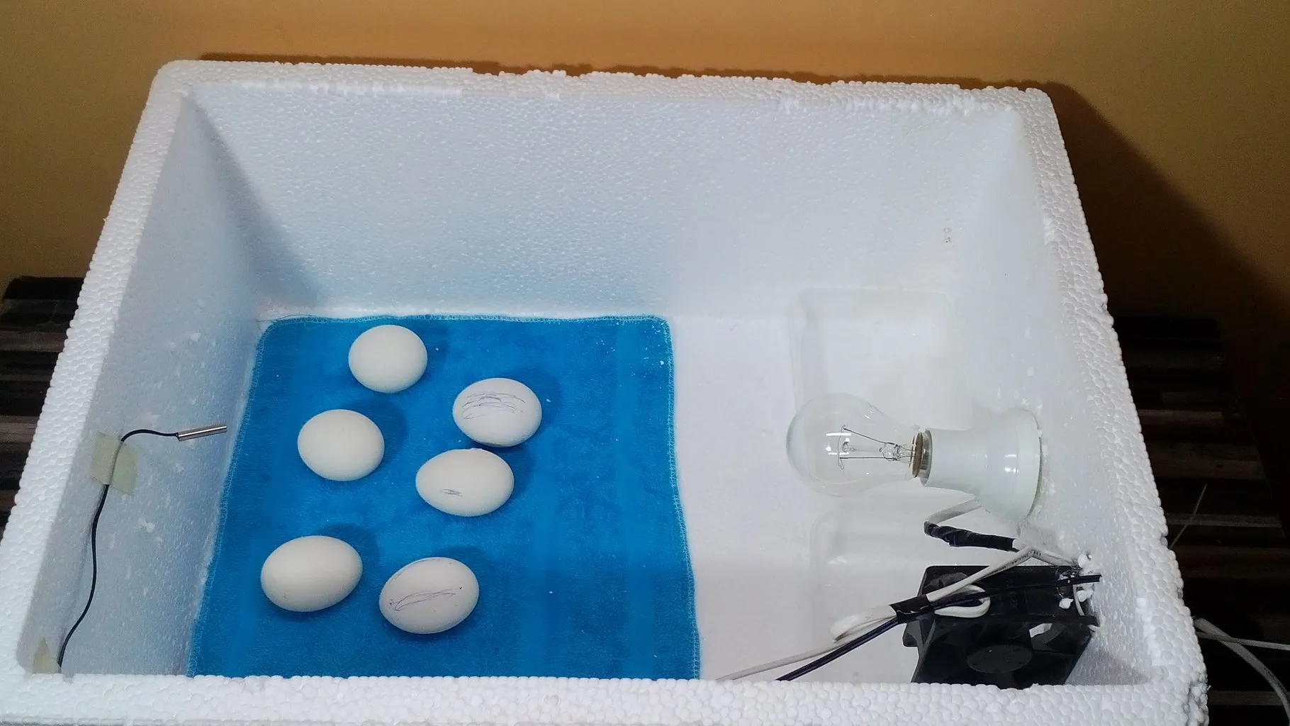 22108 incubator assembly step2