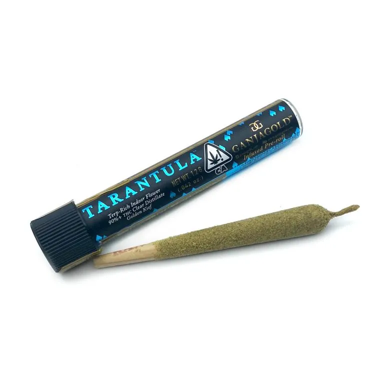 22128 king tarantula pre roll maine 4