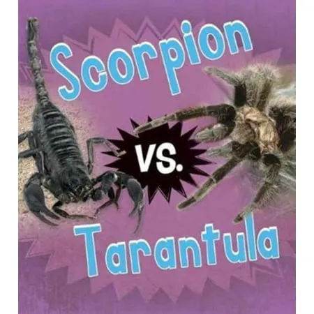 /img/22136-scorpion-battle.webp