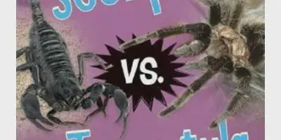 /img/22136-scorpion-battle.webp