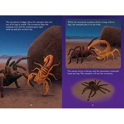 22136 tarantula size