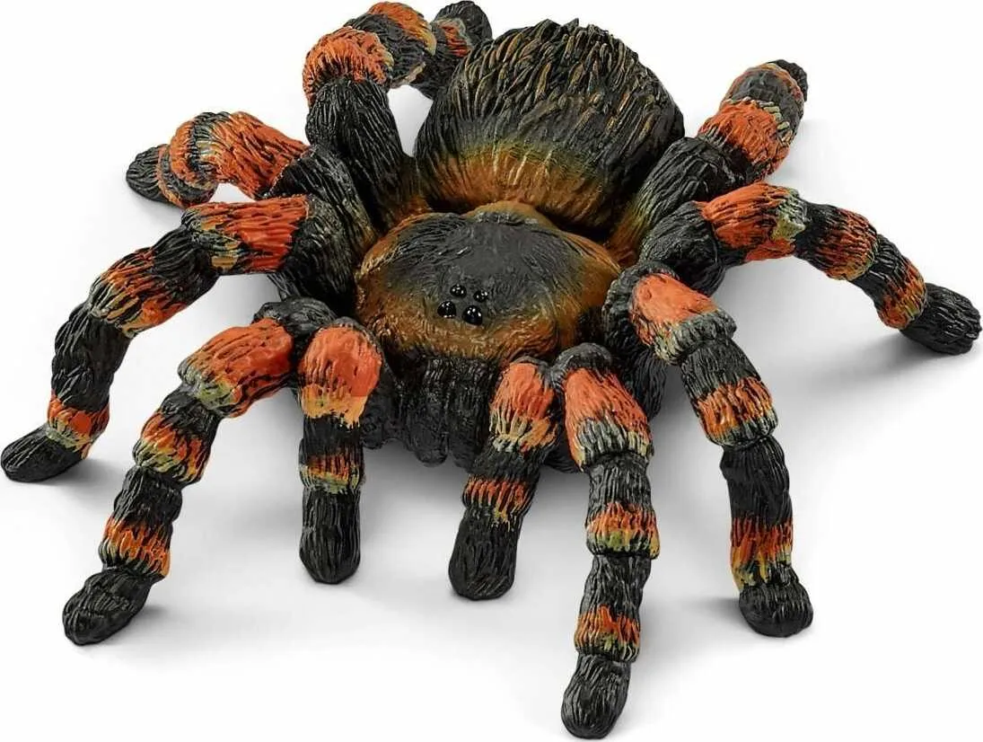 22155 downer tarantula silk