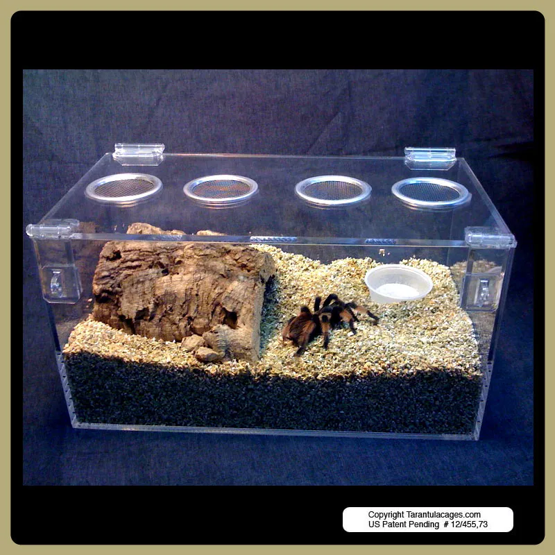 22165 acrylic tarantula cage