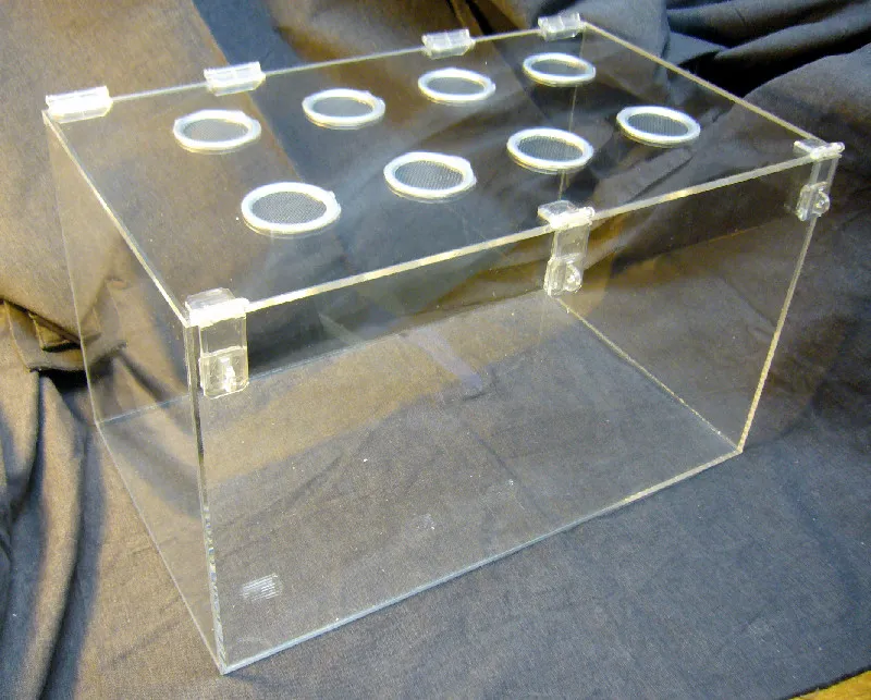 22165 tarantula cage size