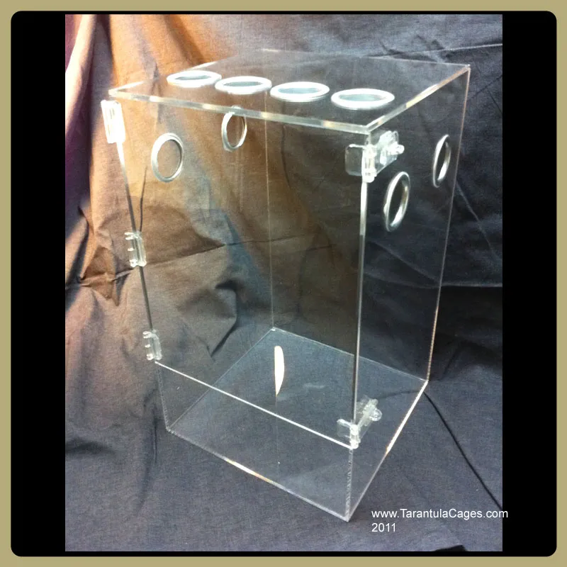 22165 tarantula cage substrate