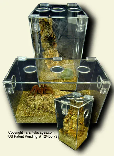 22165 tarantula cage ventilation