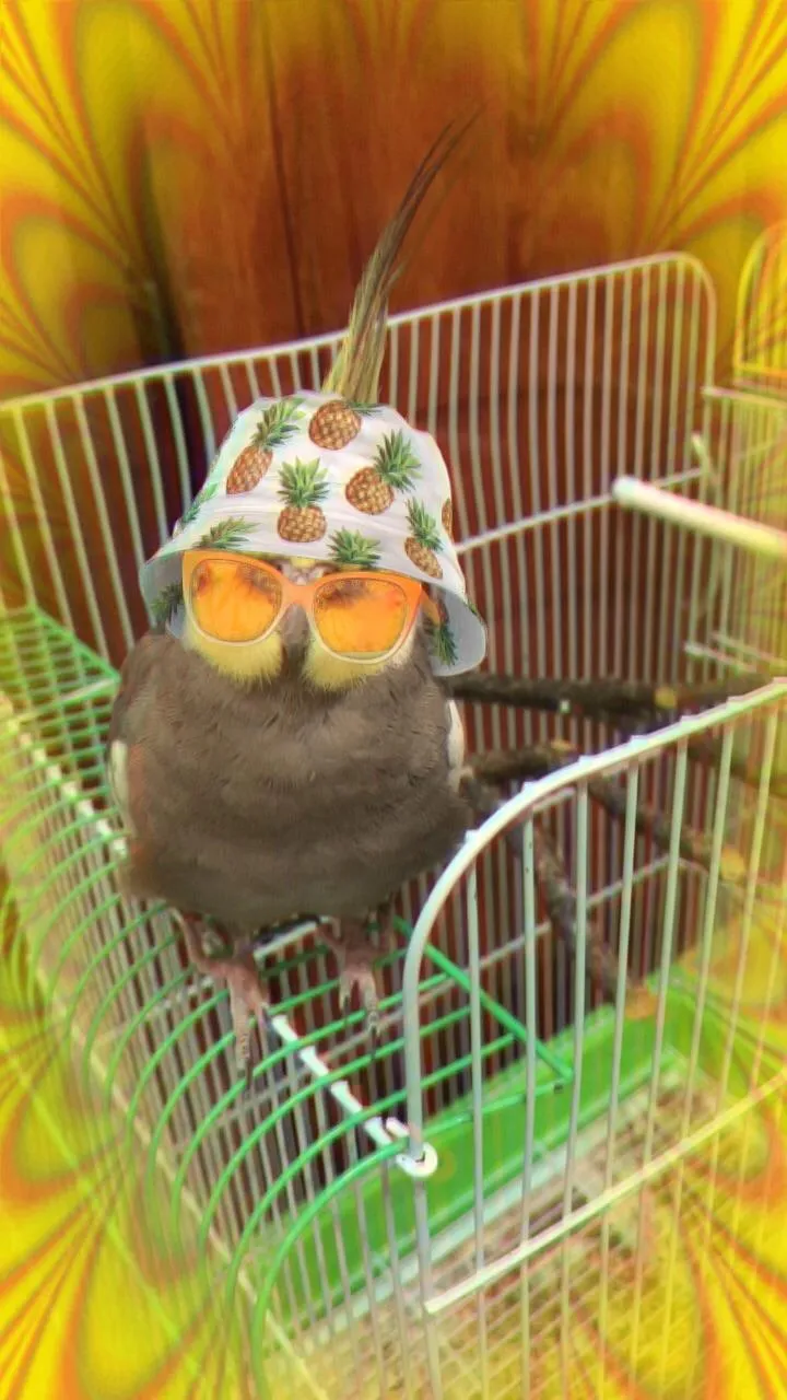 22169 snapchat tarantula filter image3