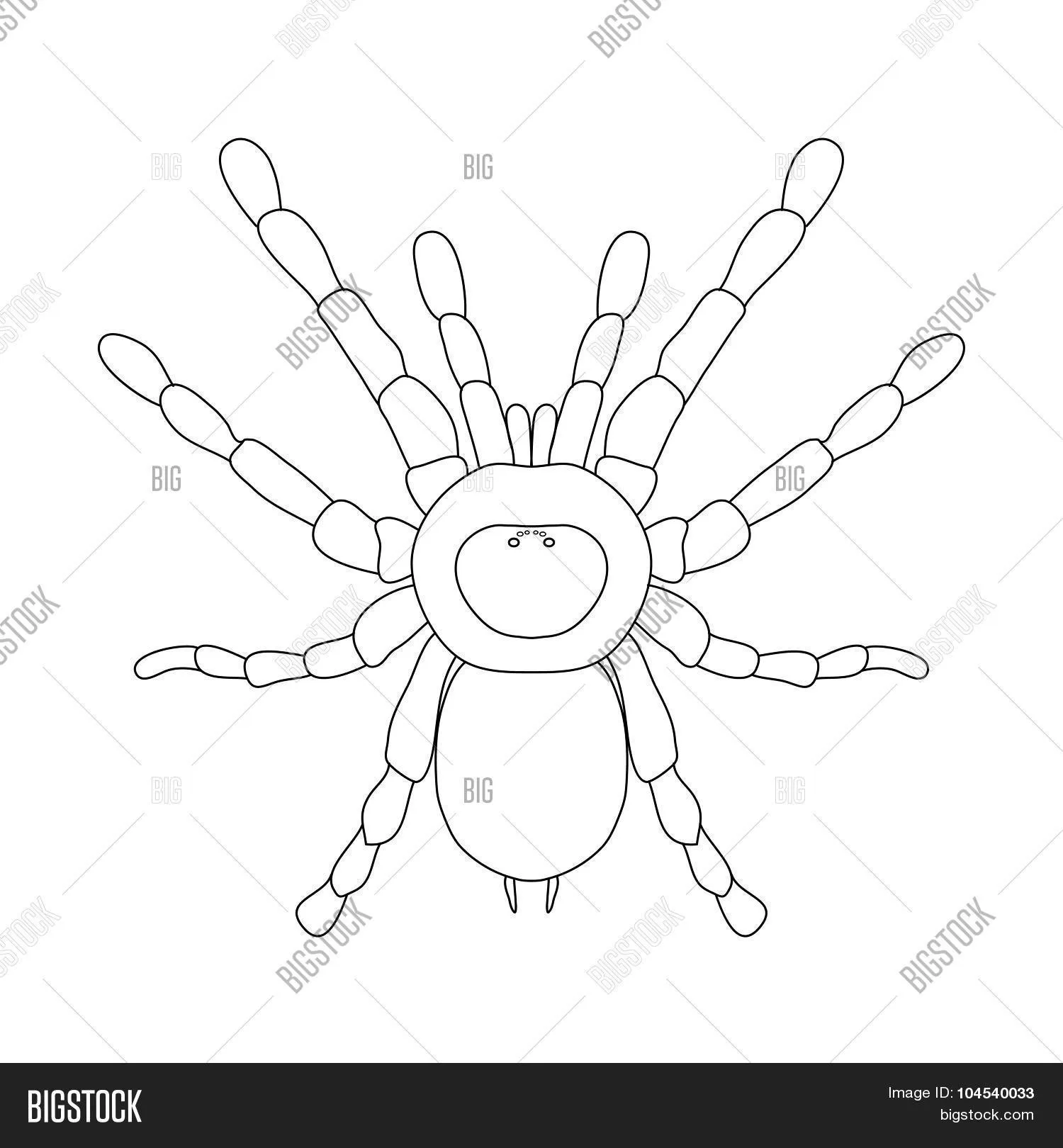 22179 spider shading methods