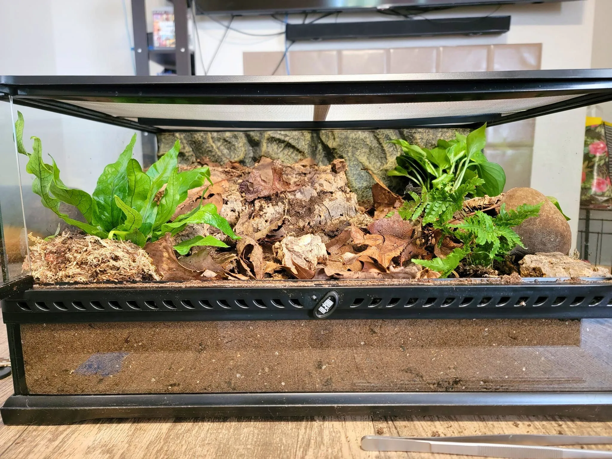 22199 tarantula enclosure overview
