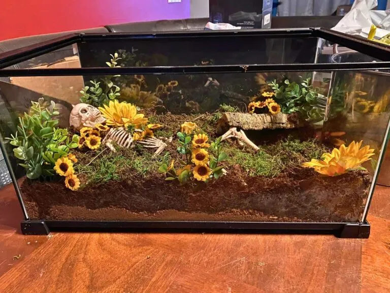 22199 tarantula enclosure size