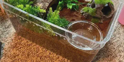 /img/22199-tarantula-feeding.webp