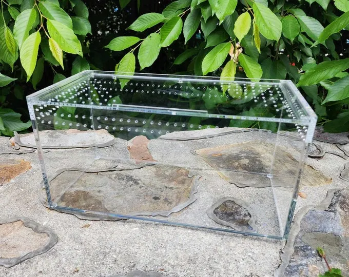 22199 tarantula substrate options