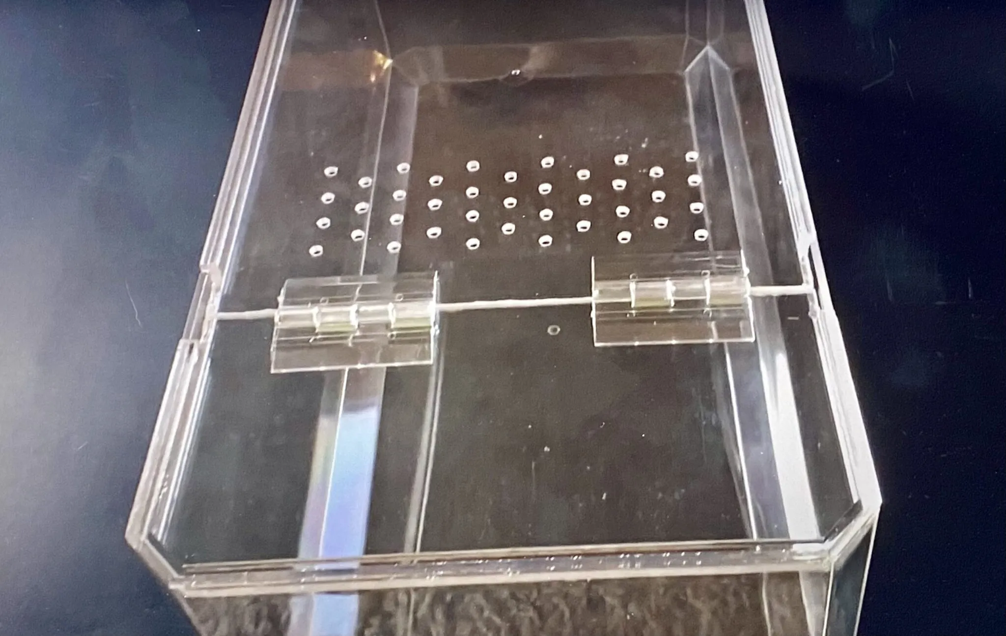22199 tarantula ventilation setup