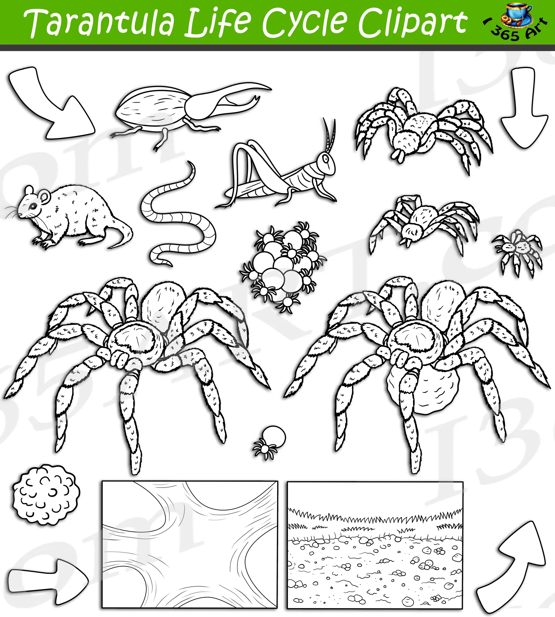 /img/22208-tarantula-enclosure.webp
