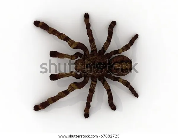 22210 tarantula i3 printing