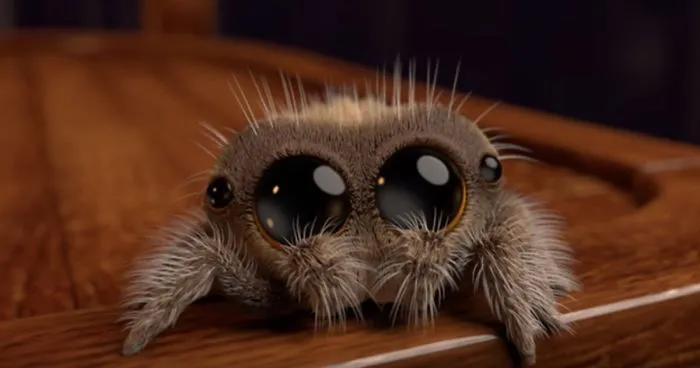 22223 lucas the spider