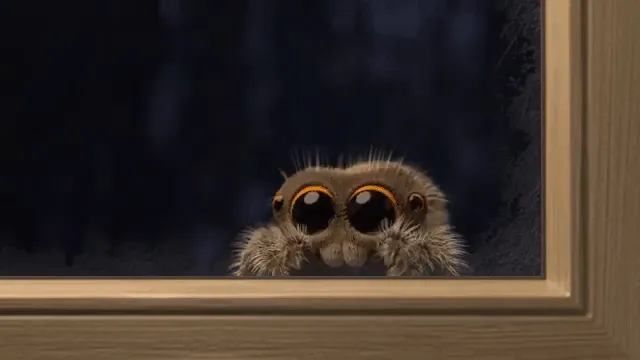 22223 tarantula spider