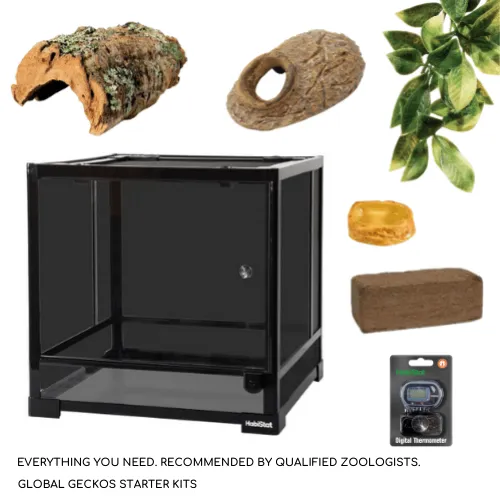 /img/22245-tarantula-starter-kit-checklist.webp