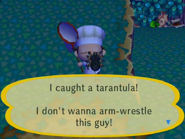 22277 animal crossing tarantula location