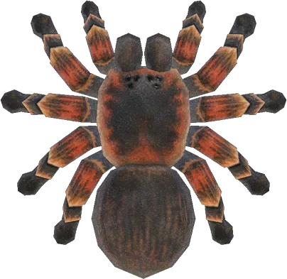 22277 animal crossing tarantula time