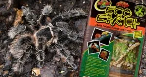 22279 peat moss substrate