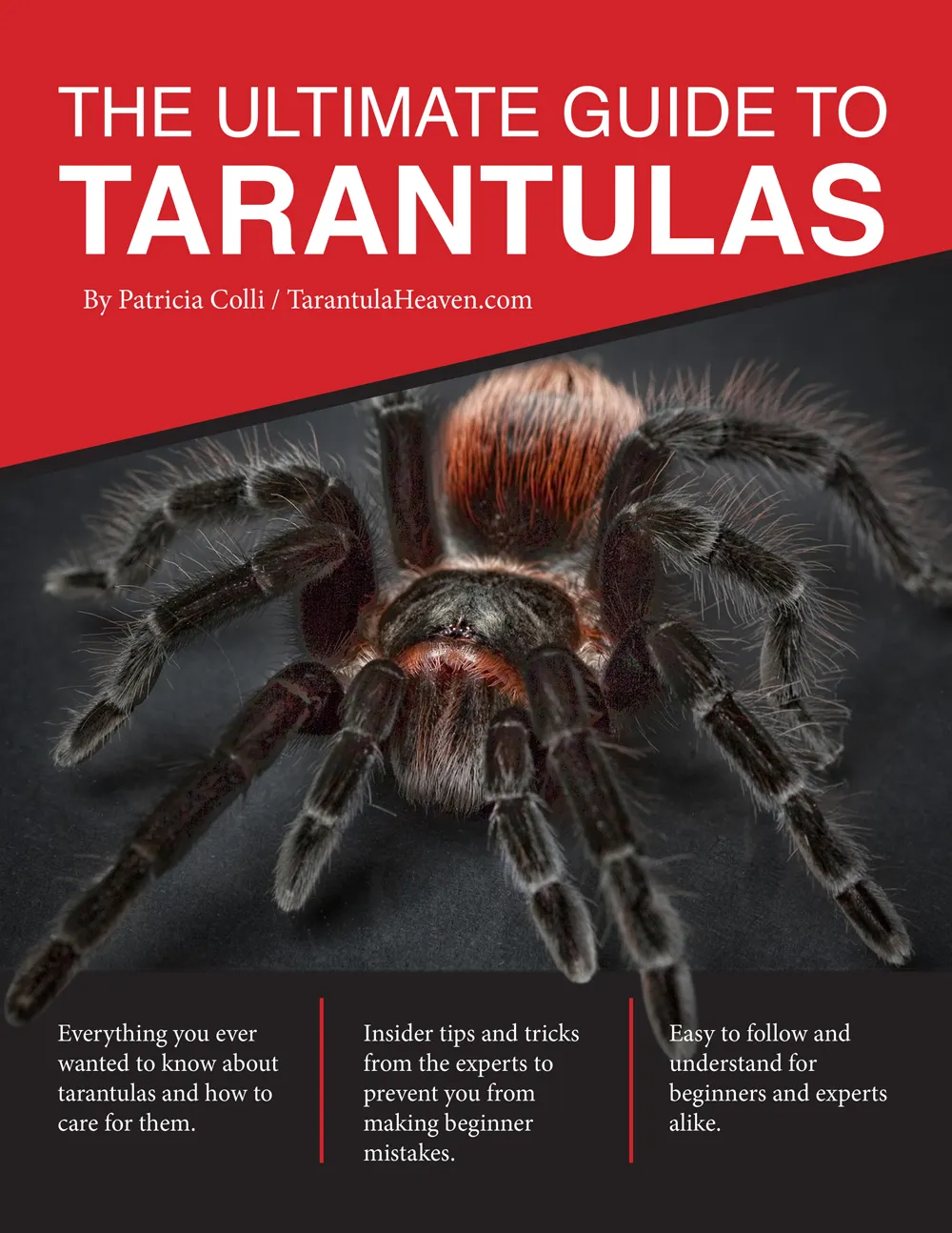 22280 baby tarantula substrate