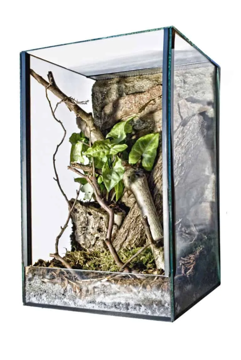 22292 tarantula enclosure acrylic