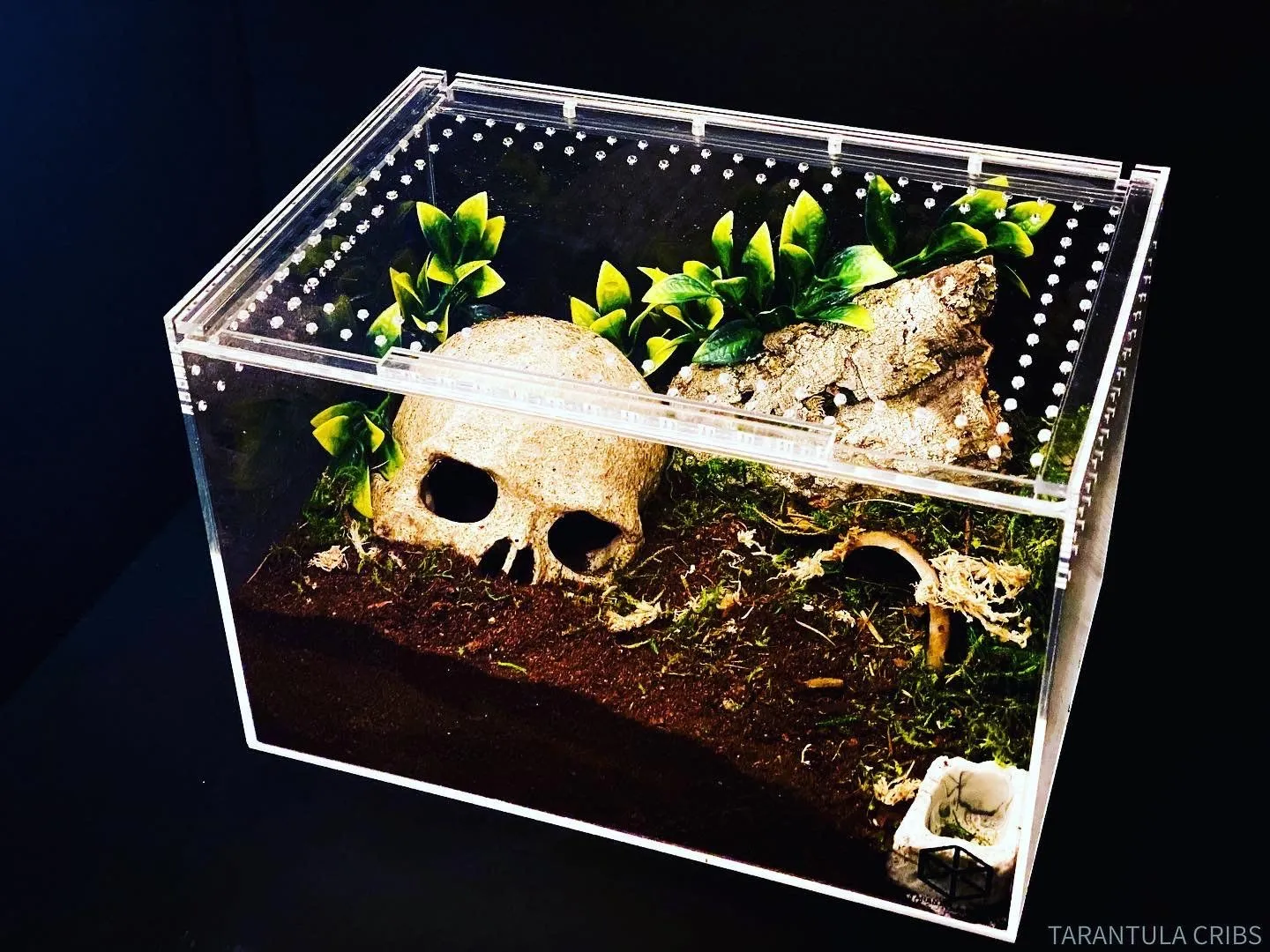 22292 tarantula enclosure plastic