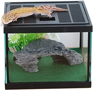 22292 tarantula enclosure setup
