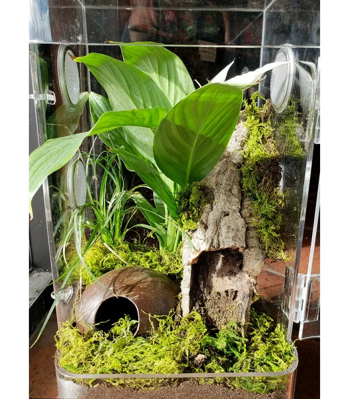 22292 tarantula enclosure substrate