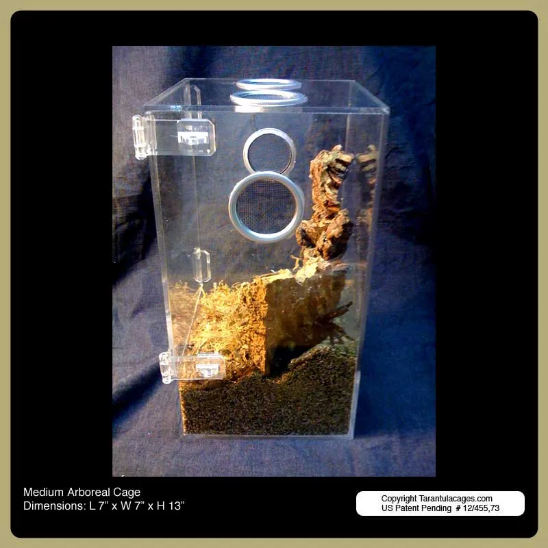 /img/22300-tarantula-cage-setup.webp