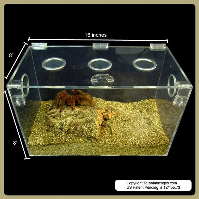 22300 tarantula water dish