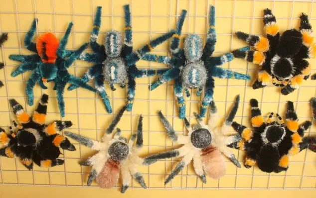 22329 tarantula handling