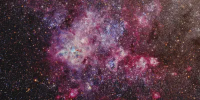 /img/22336-tarantula-nebula-download.webp