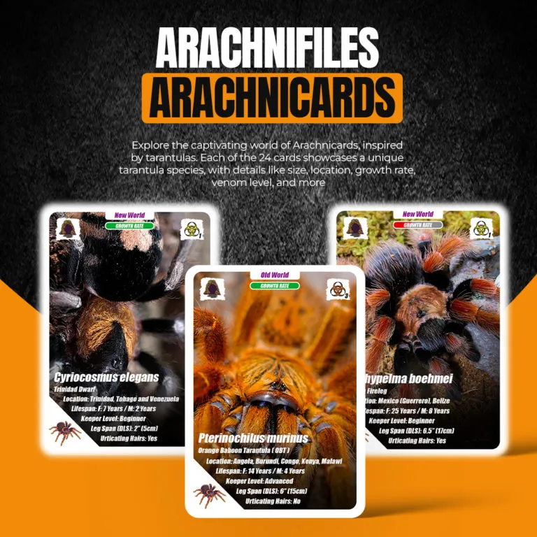 22342 tarantula physical characteristics